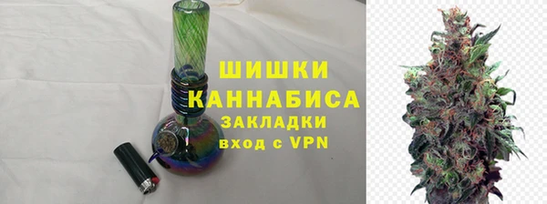 спайс Каменка